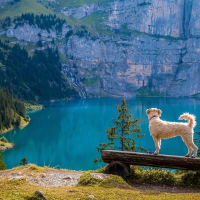 新浪彩票数据校对祁宁对着双屏逐字比对来源与站内文本的安静工作状态